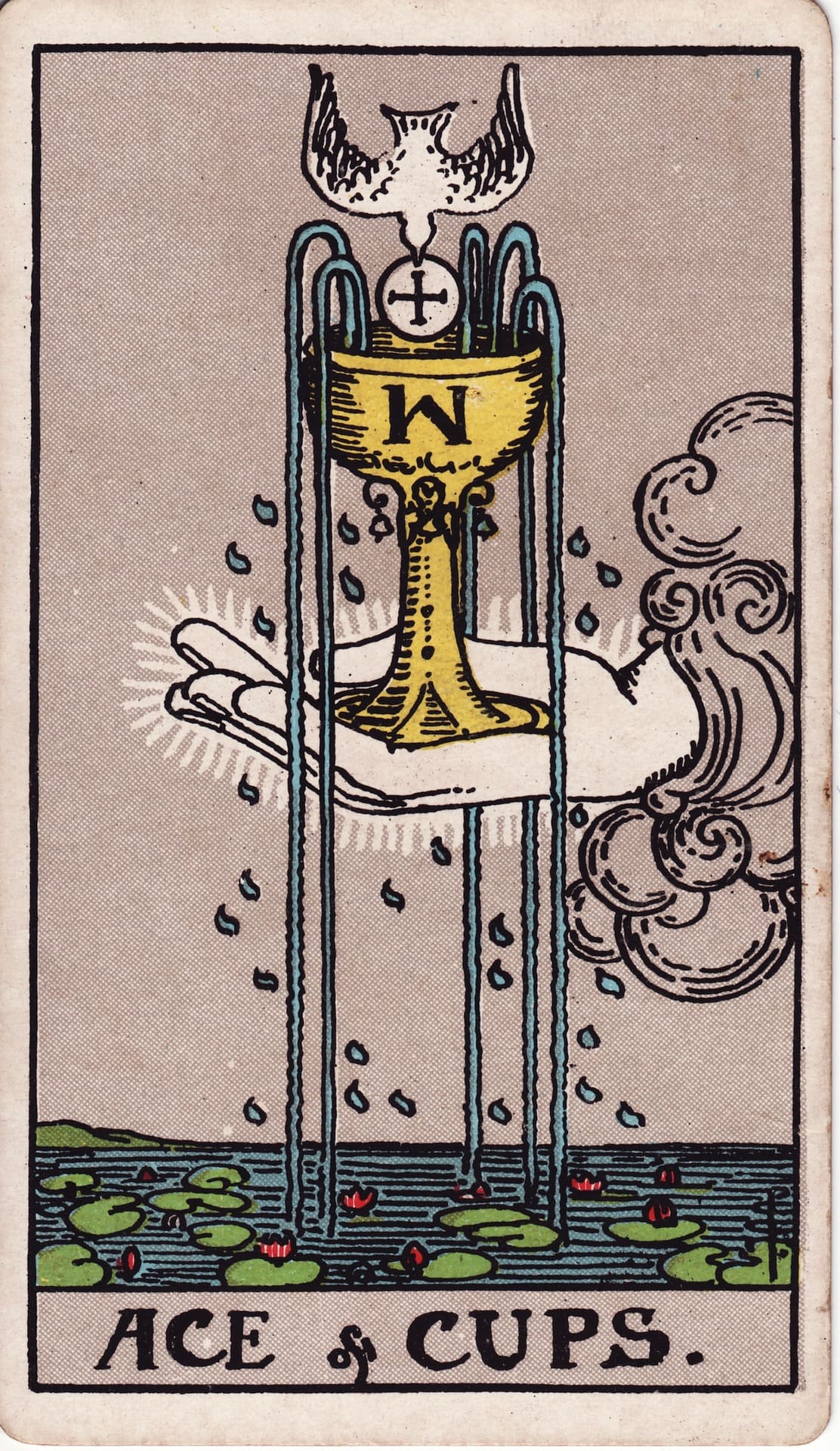 Ace of Cups (컵 에이스)